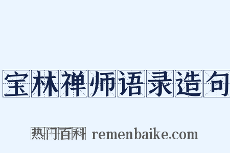 宝林禅师语录造句是什么意思的图片